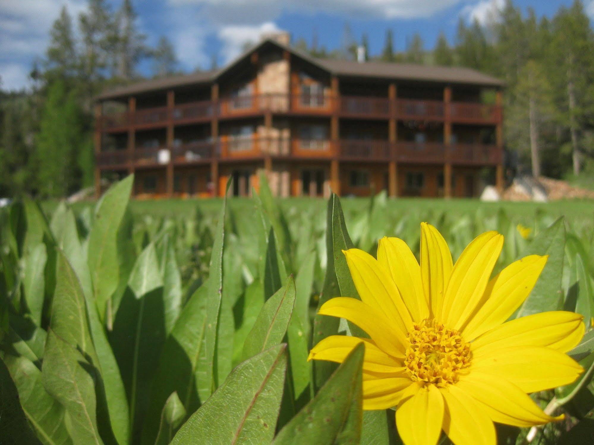 Beaver Creek Lodge Logan Eksteriør bilde